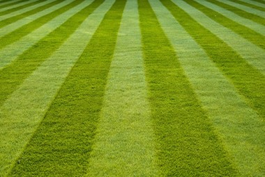 Commercial Groundskeeping