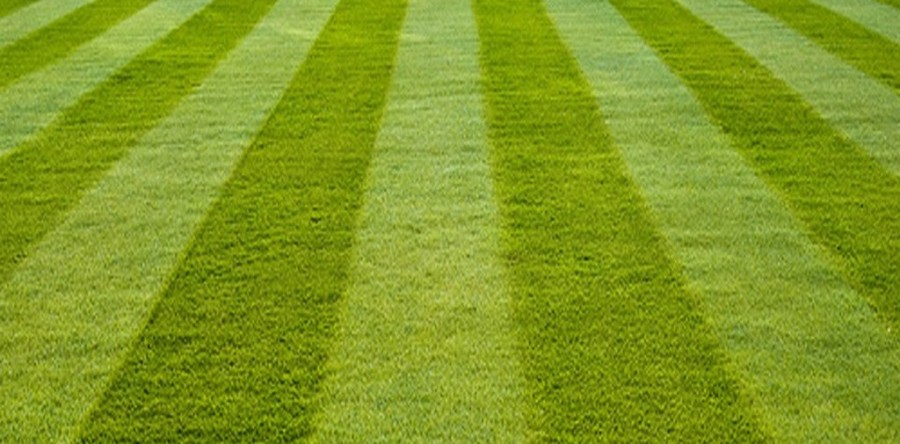 Commercial Groundskeeping